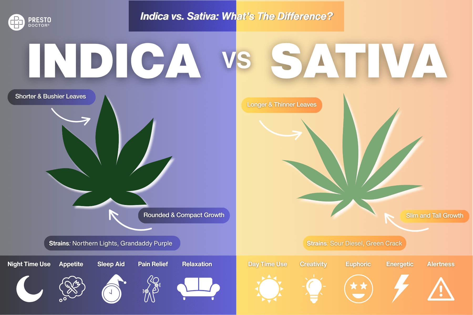 Cannabis infographic comparing Indica vs Sativa effects, growth, and common strains. Discover how Indica and Sativa strains differ in effects, cannabinoid profiles, and common hybrids for a better cannabis experience.