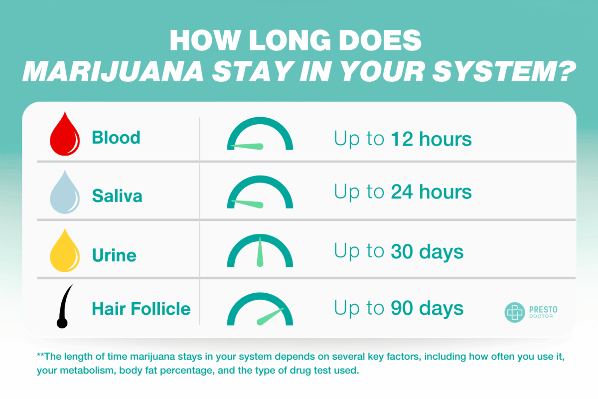 how long does marijuana stay in your system, drug test preparation for marijuana, THC detection times by test type, marijuana metabolism and body fat, how to detox THC naturally