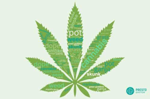 names for marijuana, what are the other names for marijuana drug, marijuana street names, cannabis slang, marijuana slang names, marijuanas slang names, marijuana slang