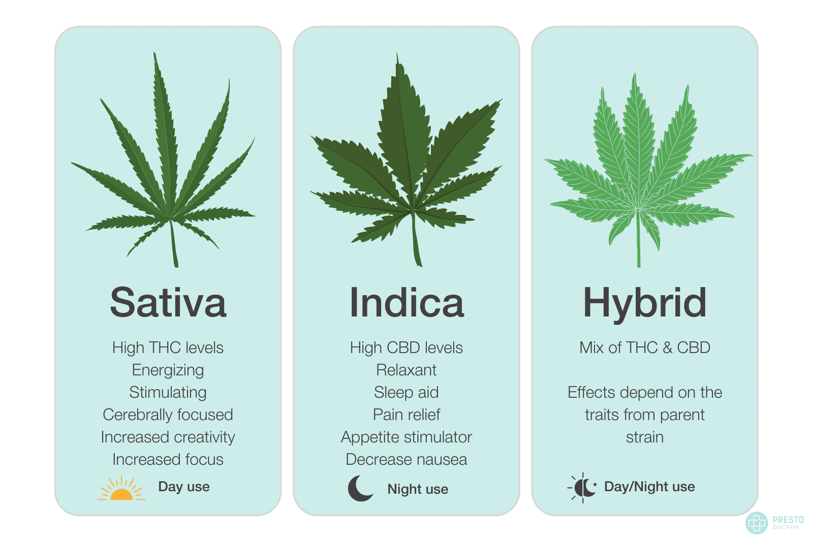 indica sativa hybrid, indica vs. sativa vs. hybrid