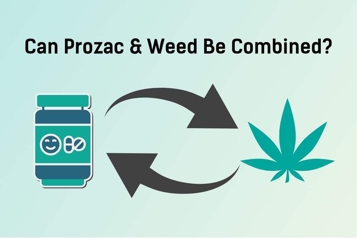 prozac and weed, prozac and marijuana, prozac and cannabis, Effects of weed on Prozac treatment, weed with prozac combine, mixing prozac and weed, cannabis with prozac combination, marijuana with prozac combination, mixing prozac and marijuana, mixing prozac and cannabis, prozac weed safe,