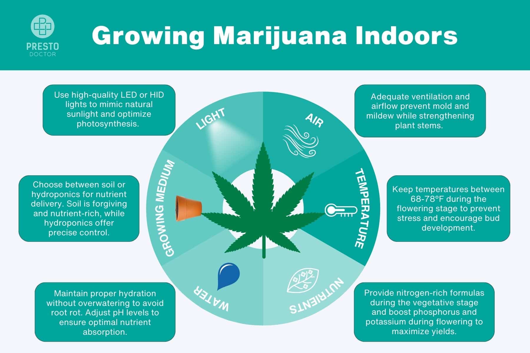 growing marijuana indoors, how to grow marijuana indoors, how to grow indoor marijuana, marijuana nutrition, cannabis nutrient, weed nutrients, Weed Feeding Schedules, Indoor Pot Plant Nutrition, Nutrient Regimen for Cannabis, marijuana nutrient, marijuana grow equipment, Strain for Indoor Growing, marijuana yield maximize