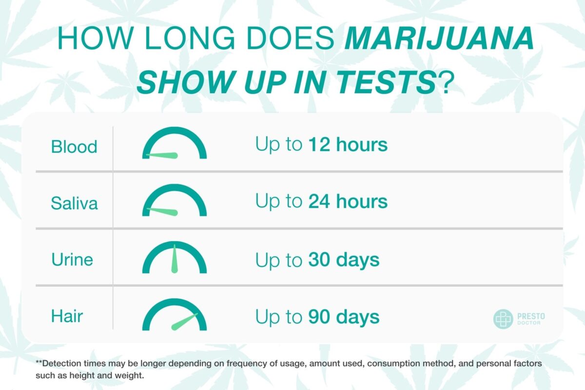 marijuana in blood work, marijuana in regular blood work, does marijuana show up in blood work, cannabis in blood work, does THC show up in routine blood tests, THC in blood tests,  blood test for marijuana use, Can a doctor test for marijuana without consent, how long does marijuana show up in tests, urine test for marijuana, drug test for marijuana, blood test for marijuana