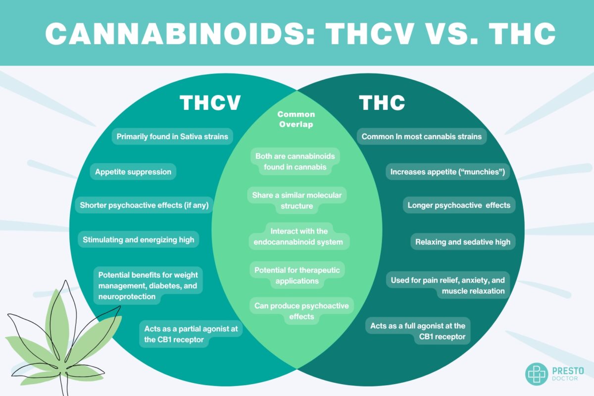 thcv vs thc