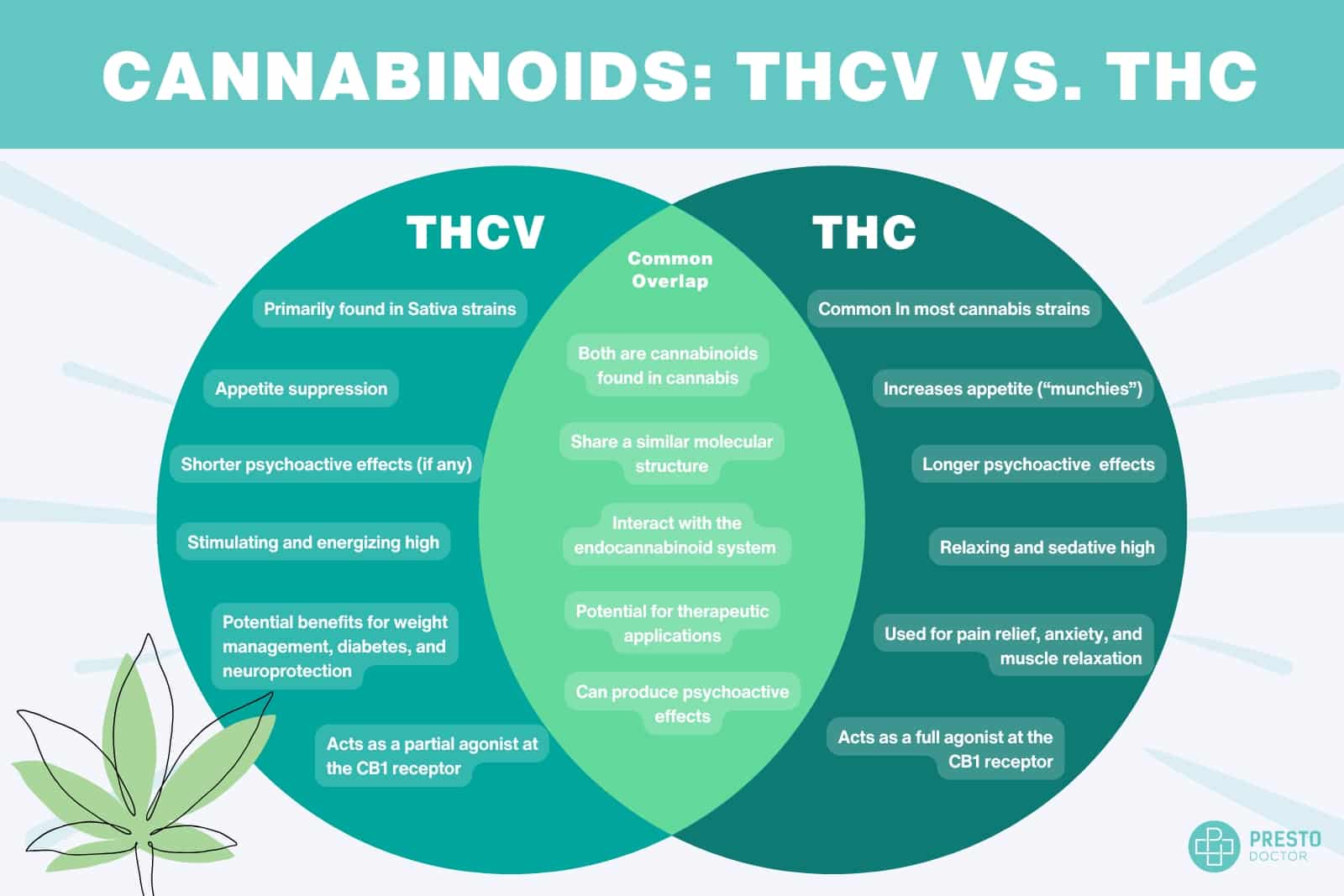 thcv vs thc