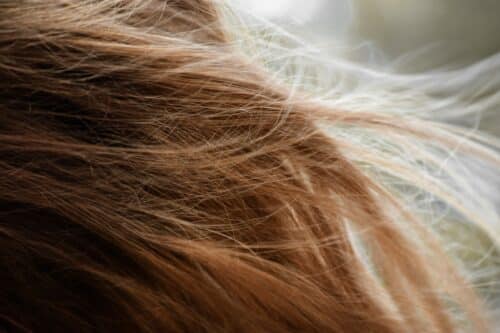 how long does marijuana stay in hair follicles, pass a hair follicle drug test, THC metabolites in hair