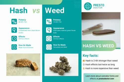 Hashish vs weed comparison infographic showing hash contains 40-80% THC in brown blocks while weed contains 15-30% THC in green dried flowers, with effects duration and potency differences highlighted