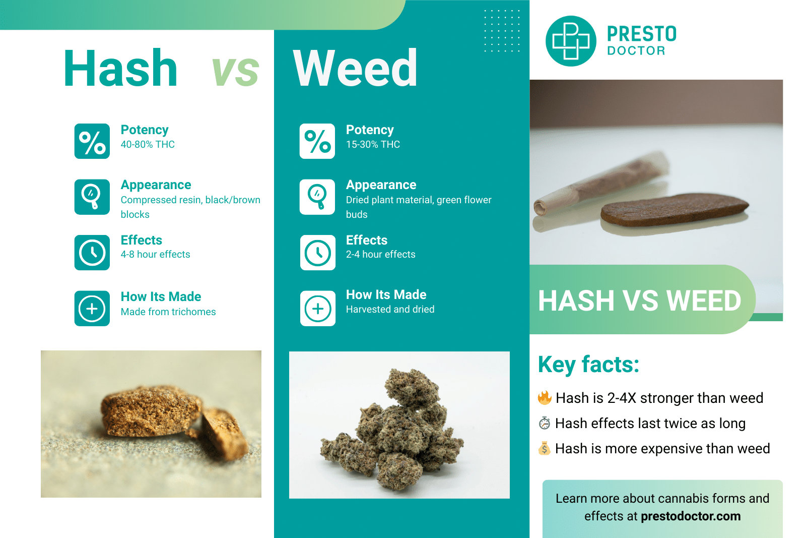 Hashish vs weed comparison infographic showing hash contains 40-80% THC in brown blocks while weed contains 15-30% THC in green dried flowers, with effects duration and potency differences highlighted