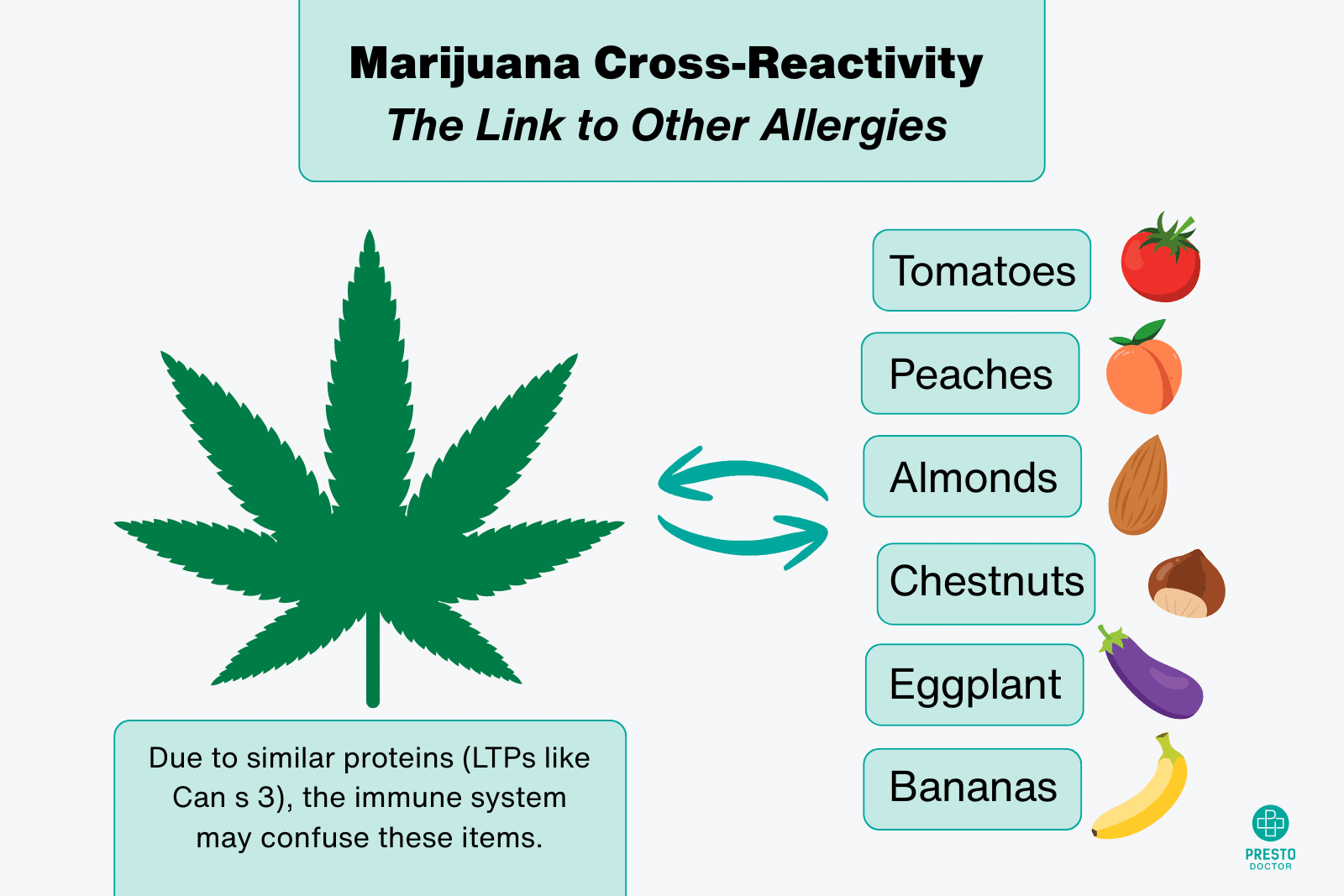 Infographic showing marijuana allergy cross reactivity with common foods