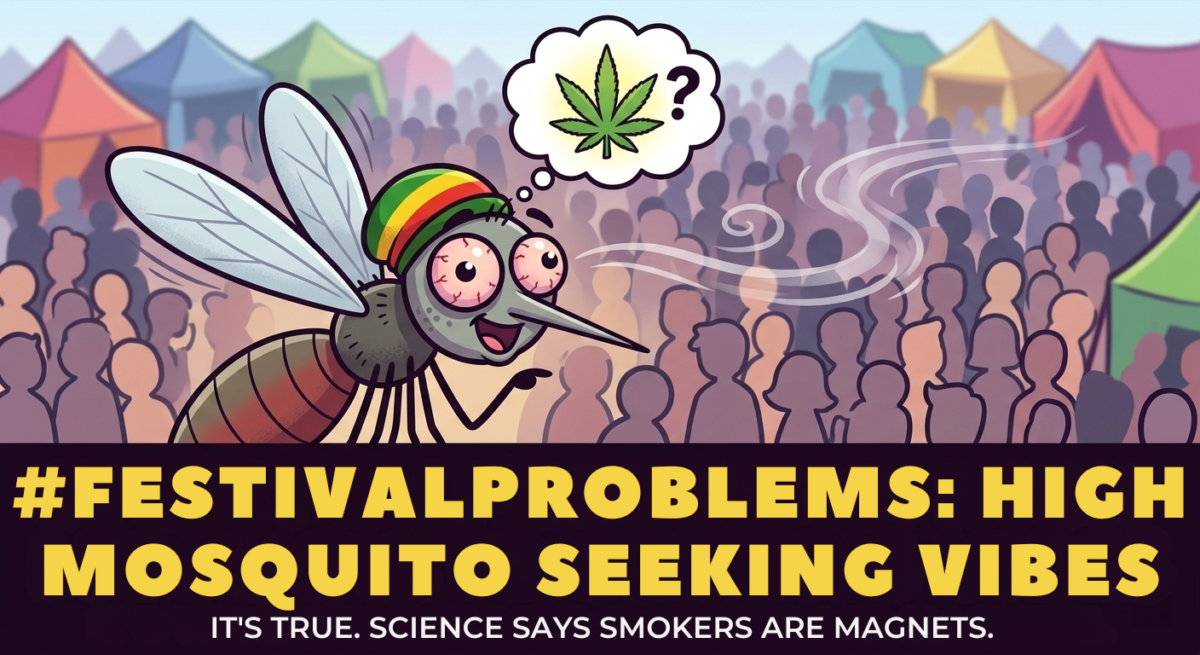 Cartoon of a mosquito wearing a rasta hat at a music festival, thinking about cannabis, with text saying smokers are magnets.