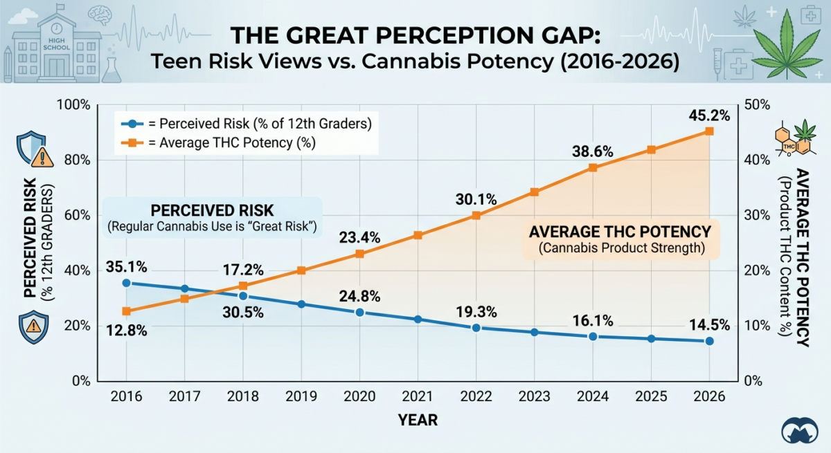 Dual-axis line graph showing the 2016-2026 perception gap in California: Perceived risk of regular cannabis use among 12th graders dropping from 35.1% to 14.5%, while average THC potency rises from 12.8% to 45.2%. Branded educational resource by PrestoDoctor.com.
